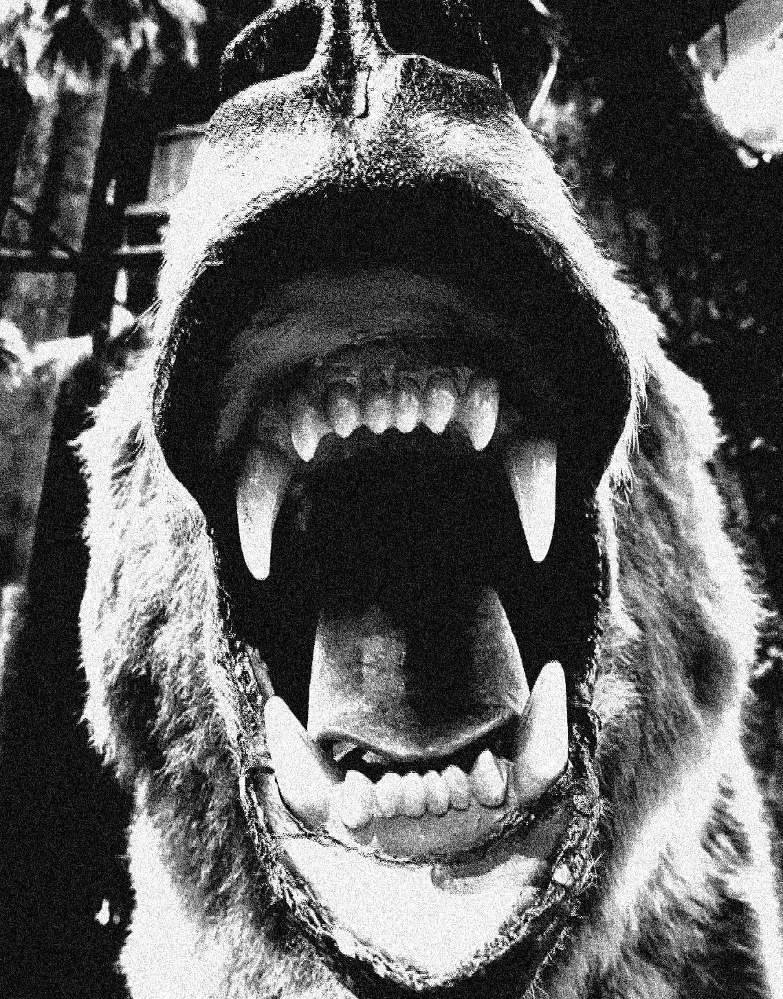 Bear Mouth